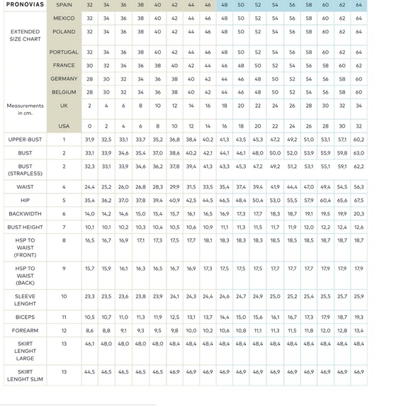 Pronovias Ainsa Wedding Dress - Picture 9 of 9